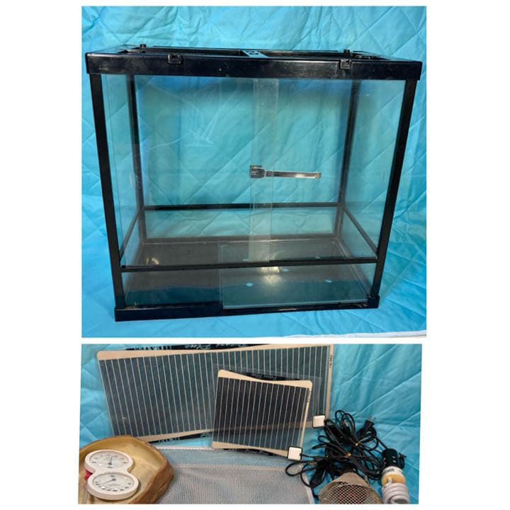 爬虫類　ゲージなど全てセット