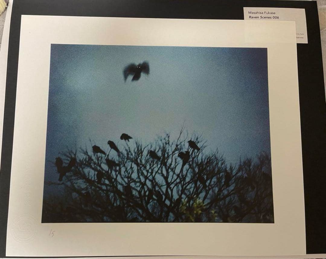 深瀬昌久コロタイプ　鴉　2018年制作　作品No.6 限定5部
