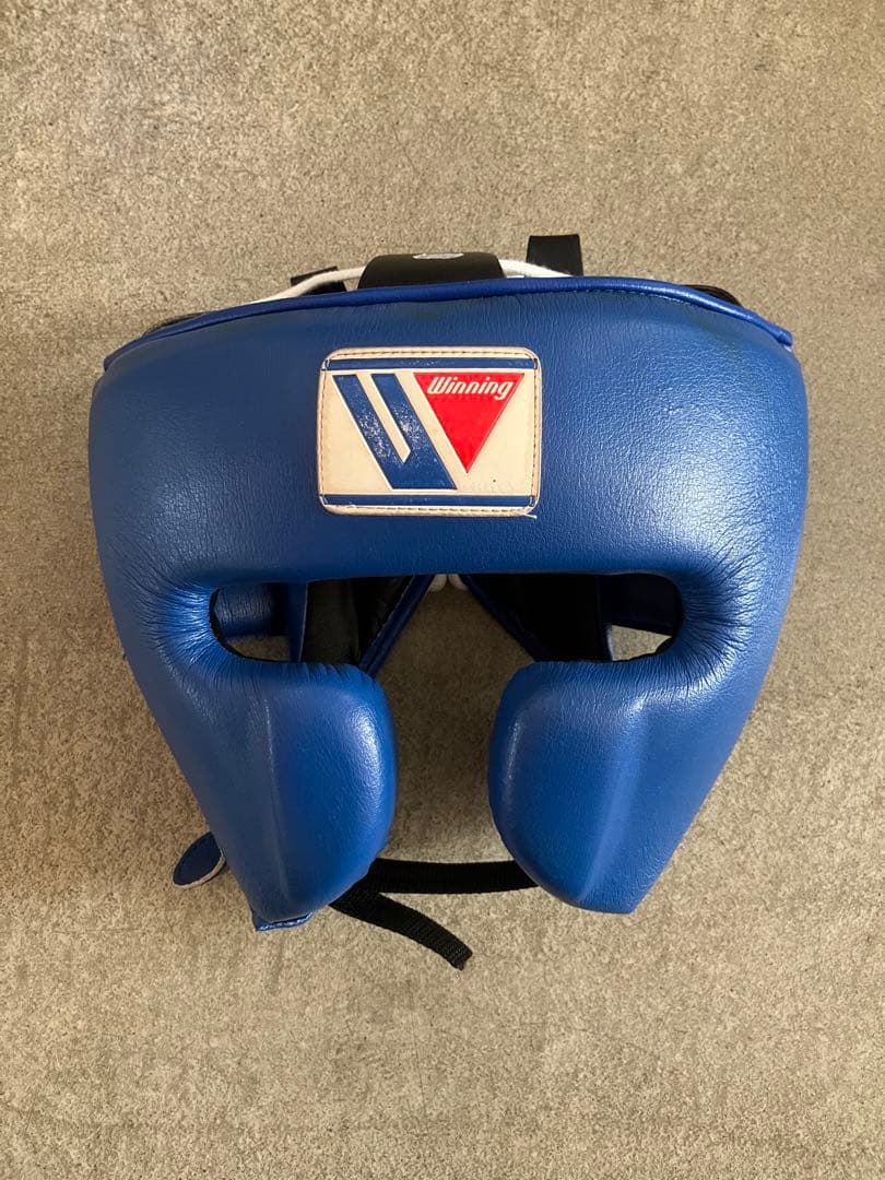 Winning ヘッドギア フルフェイスタイプ ブルー L FG-2900