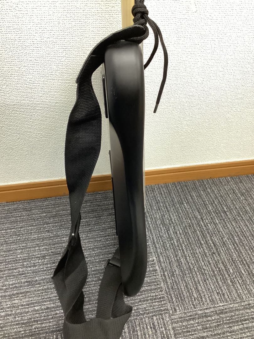 【大人気！】漆黒のエレキギター SELDER セルダー ストラトキャスター