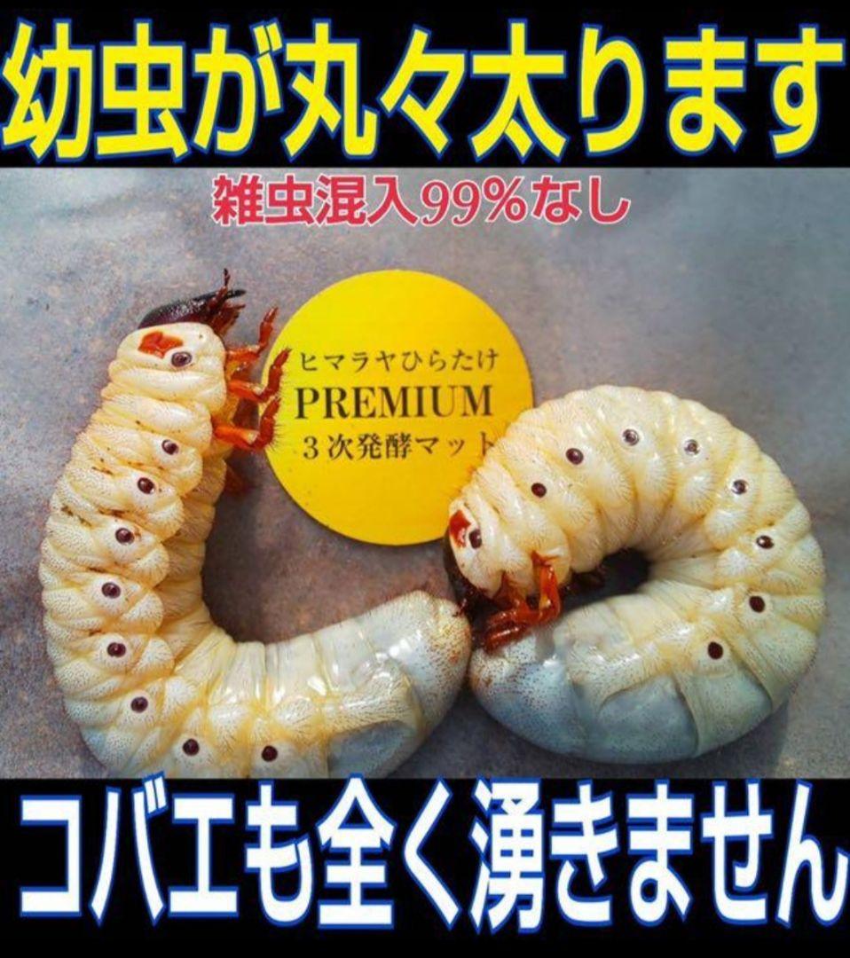 たっぷり100リットル　カブトムシ幼虫が大きくなる！発酵マット　雑虫がわかない
