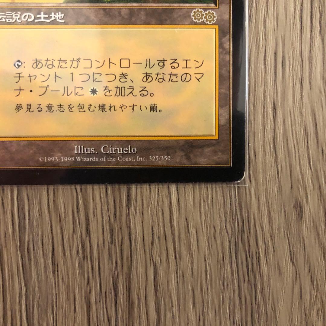 セラの聖域　日本語版1枚