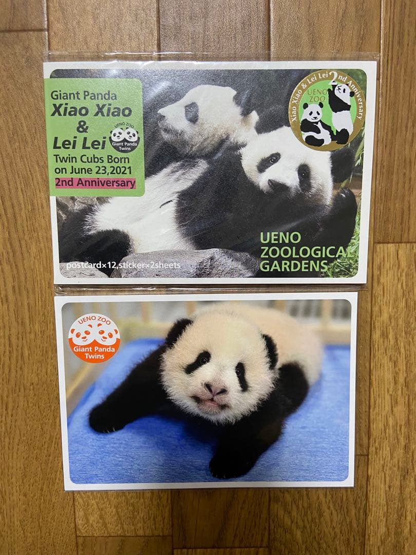 上野動物園　シャオシャオ&レイレイ　タンブラー＋アニア＋クリアファイル＋色々