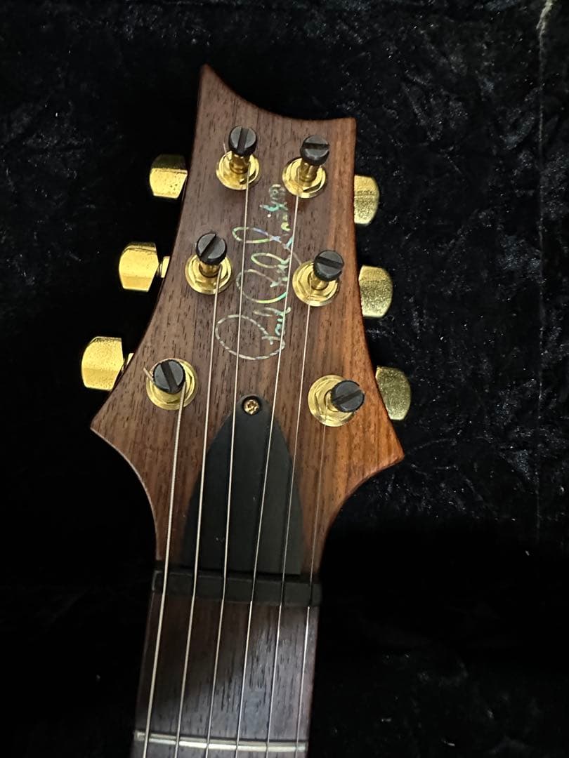 ギター Paul Reed Smith:Custom 22 Artist Package