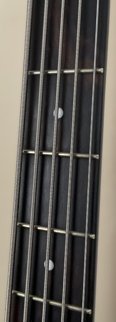 【チューナーサービス】Spector 5弦ベース【美品レア】