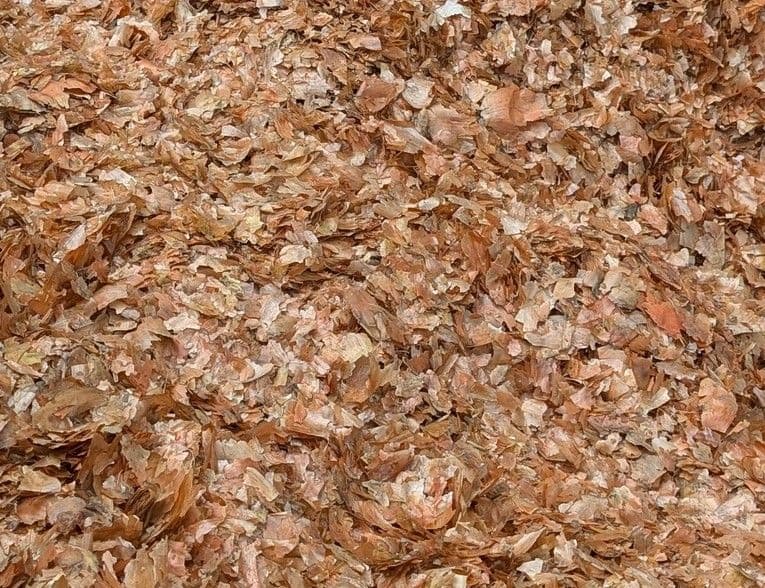 玉ねぎの皮 10000円/5㌔