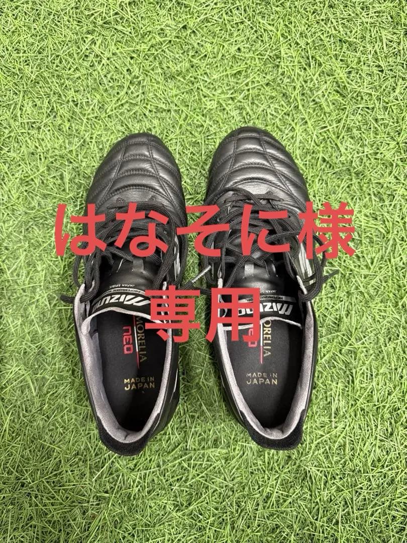 ミズノモレリアネオ　26.5