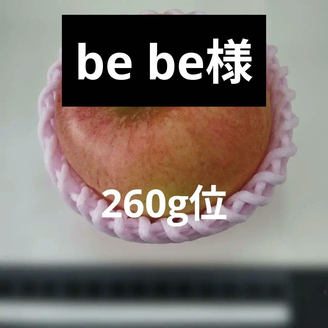 栽培中農薬不使用　高徳6玉　大玉贈答品　家庭用多種多様セットリンゴ9キロ