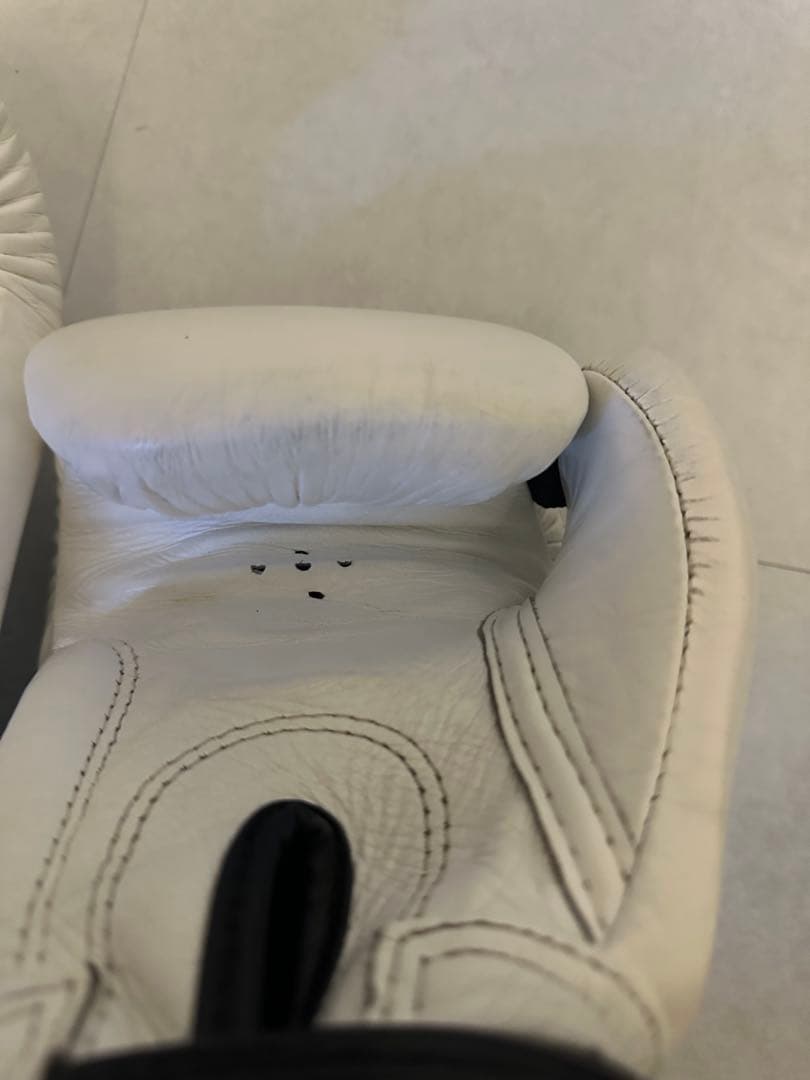 Fairtex ボクシンググローブ ホワイト