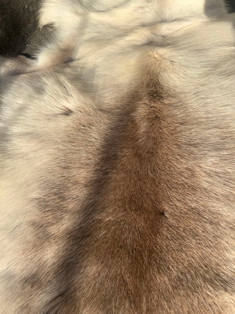 DALUM REINDEER FUR WARD L ダーラム トナカイファー