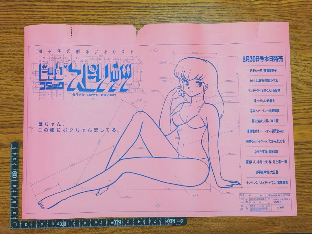 めぞん一刻 音無響子 ポスター 高橋留美子 ビッグコミックスピリッツ 非売品