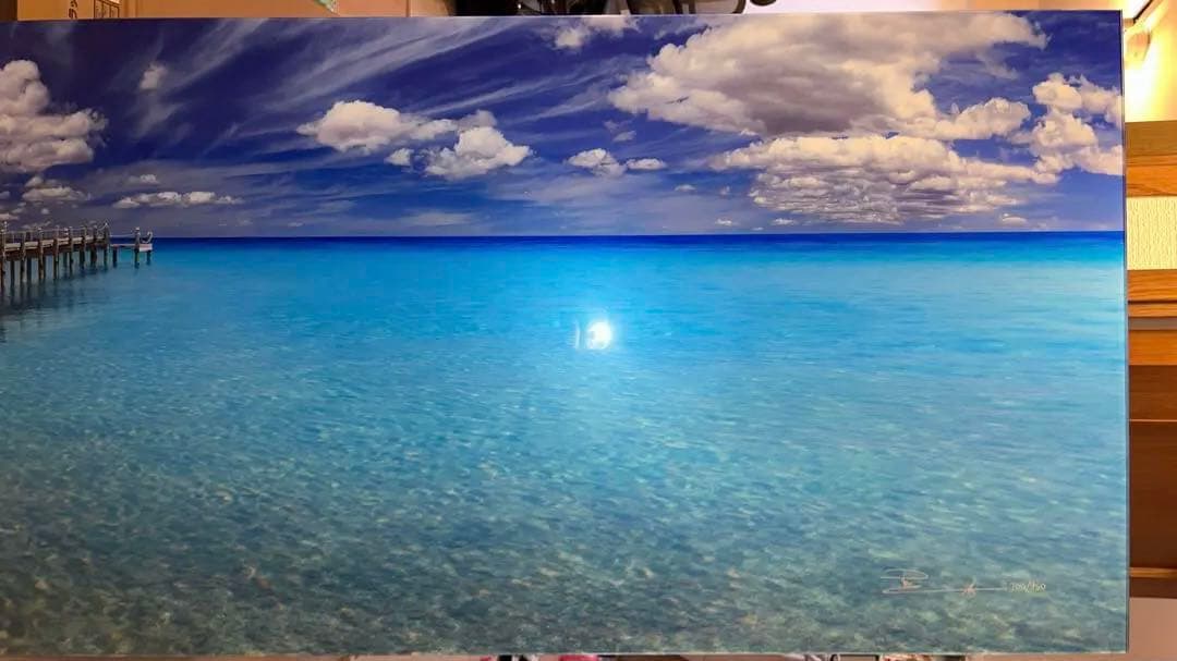 ピーターリック　Mid summer dream フロリダ