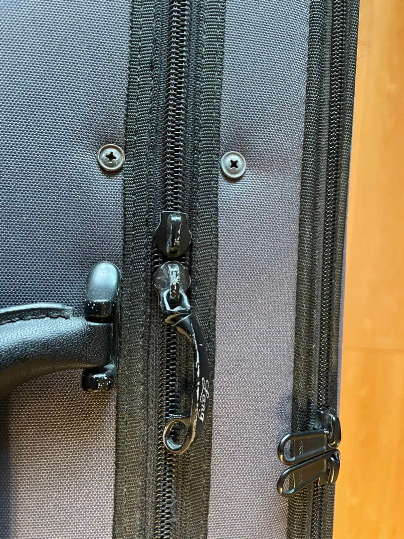 Roderich Paesold 804A ペゾルト 4/4 バイオリン