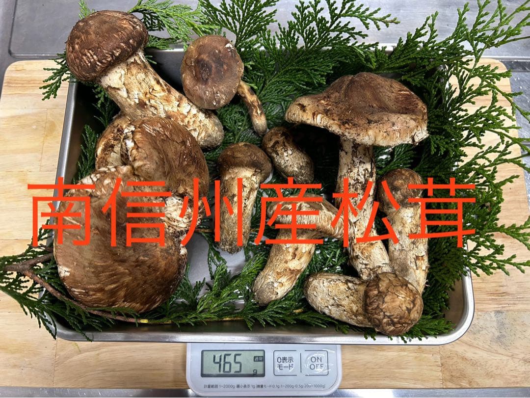 松茸　国産松茸　長野県産 南信州産
