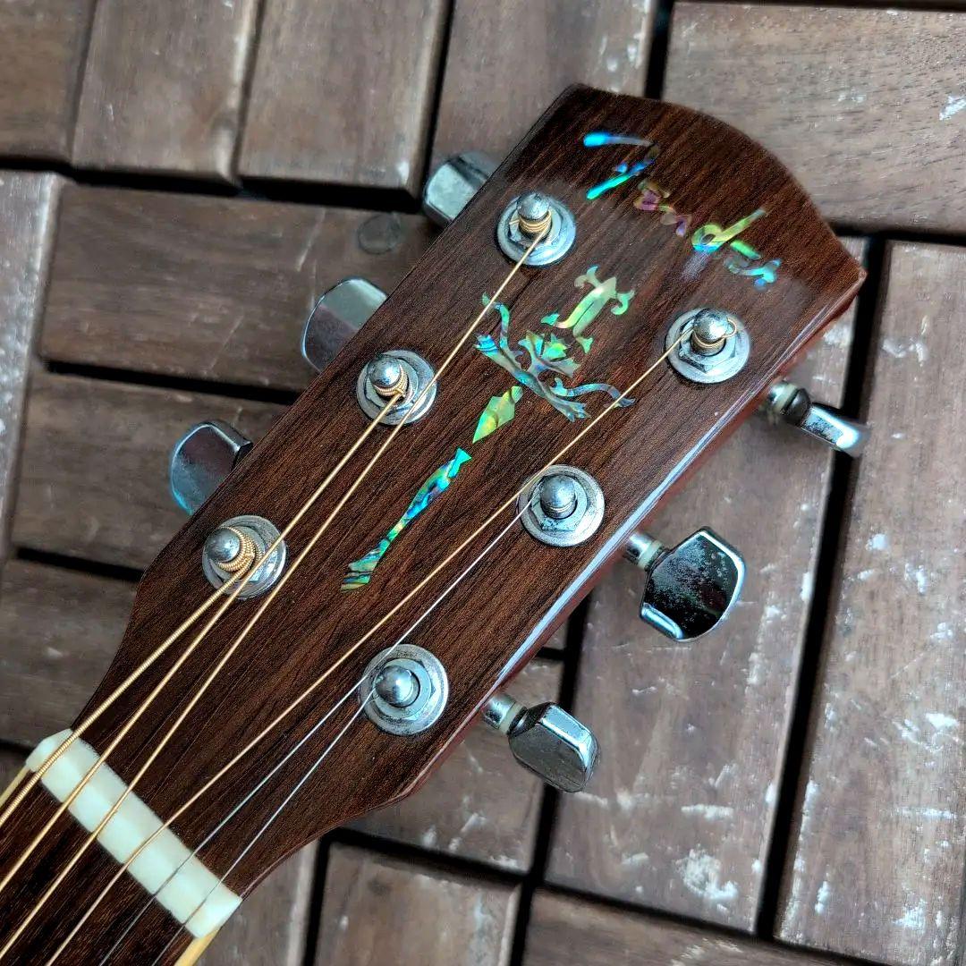 トップ/バック単板！フェンダー/Fender SAC-04 ドレッドノート！