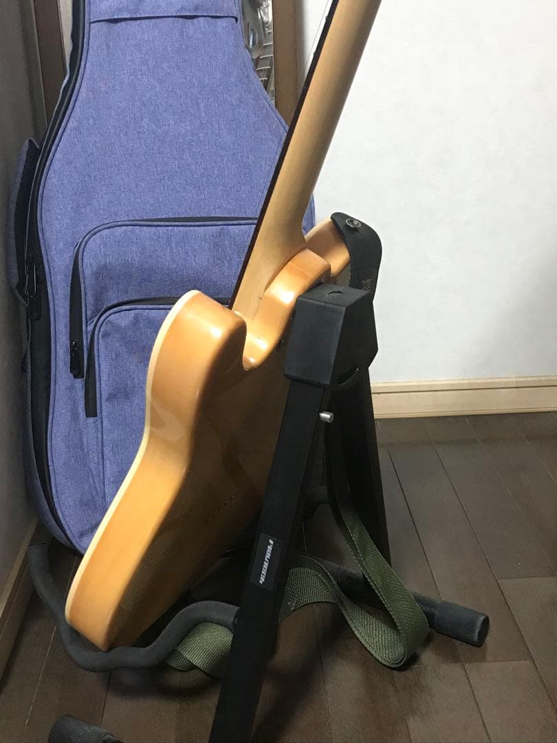 【すぐに始められる】Aria Pro II テレキャスエレキギター 初心者セット