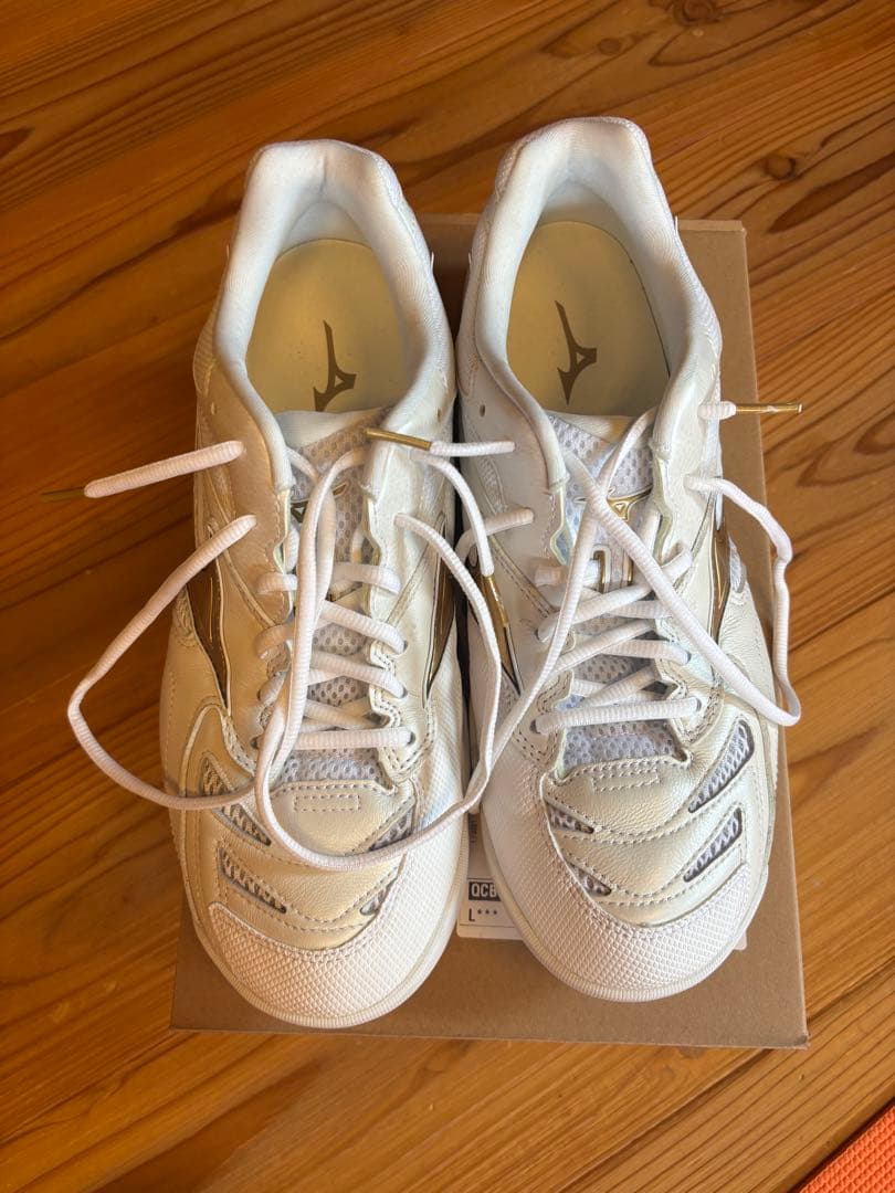 ミズノ WAVE FANG PRO [28.5cm] 天然皮革