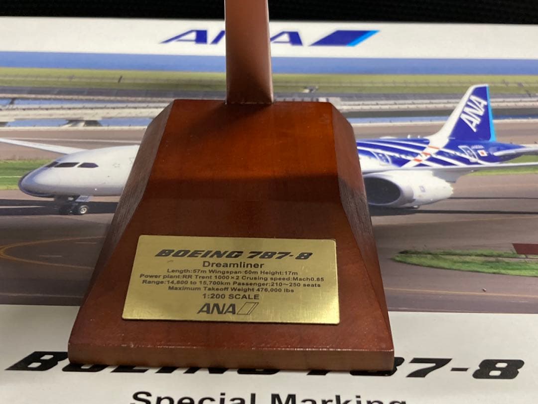 ANA Boeing 787 - 8 特別塗装機 1/200