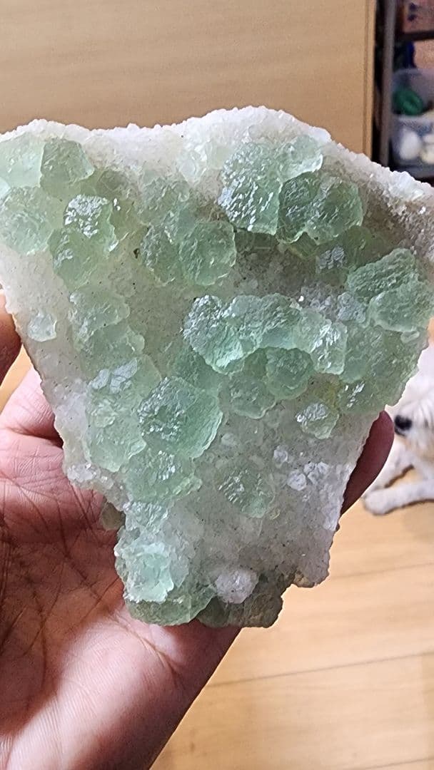 グレーンフローライト江西 中国