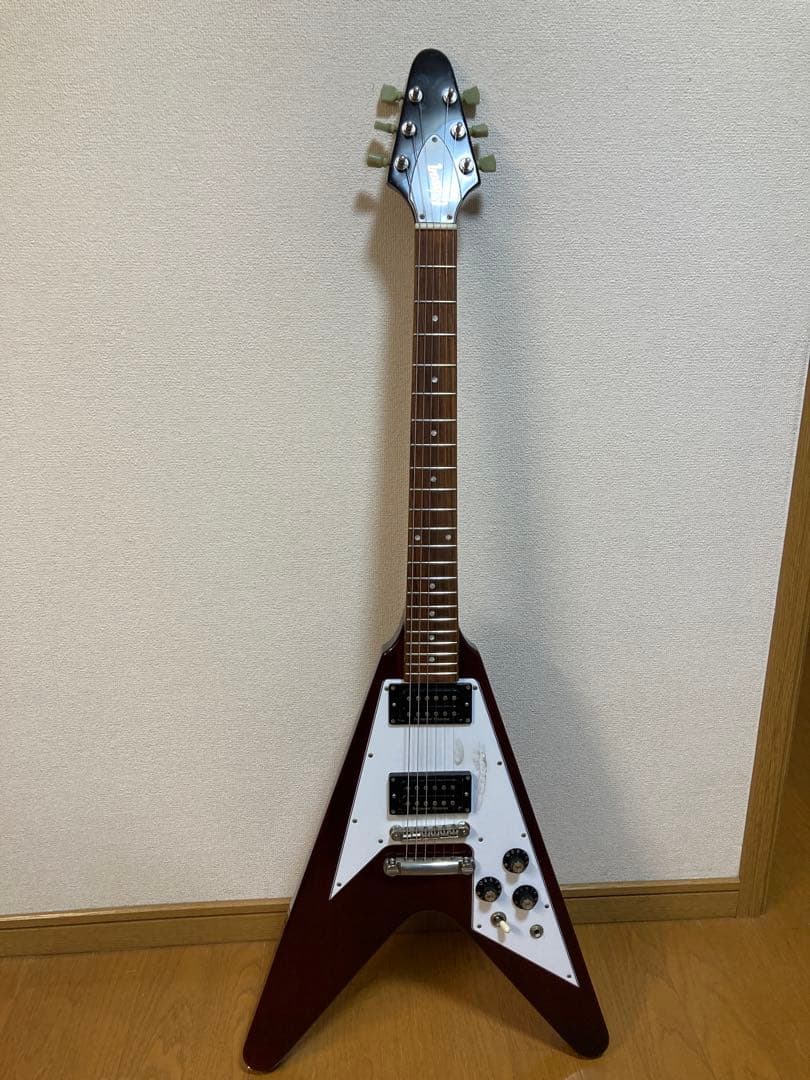 Edwards エドワーズ E-FV-120