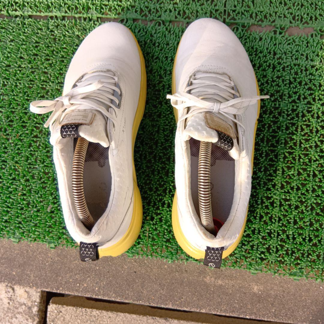 大幅値下げeccoＨ4エコーバイオムスパイクレス