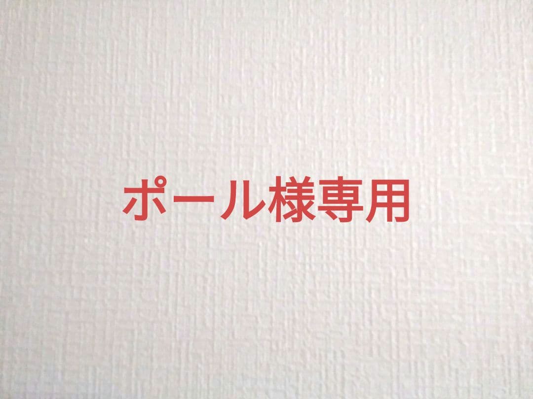 オーダーメイド　アクリル飼育ケージ