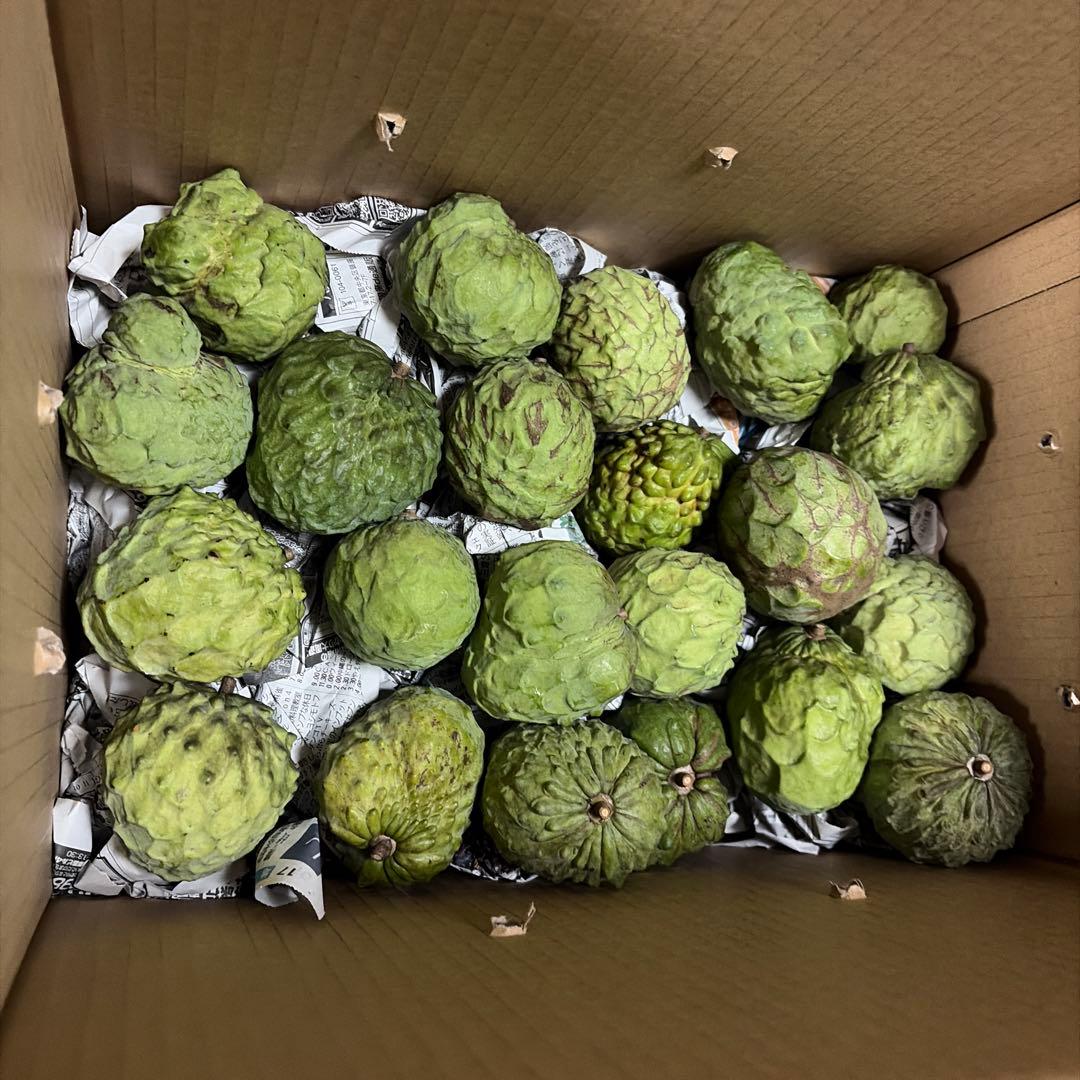 箱番号8. 訳あり規格外サイズです！１kgあたり1100円 9.5kg