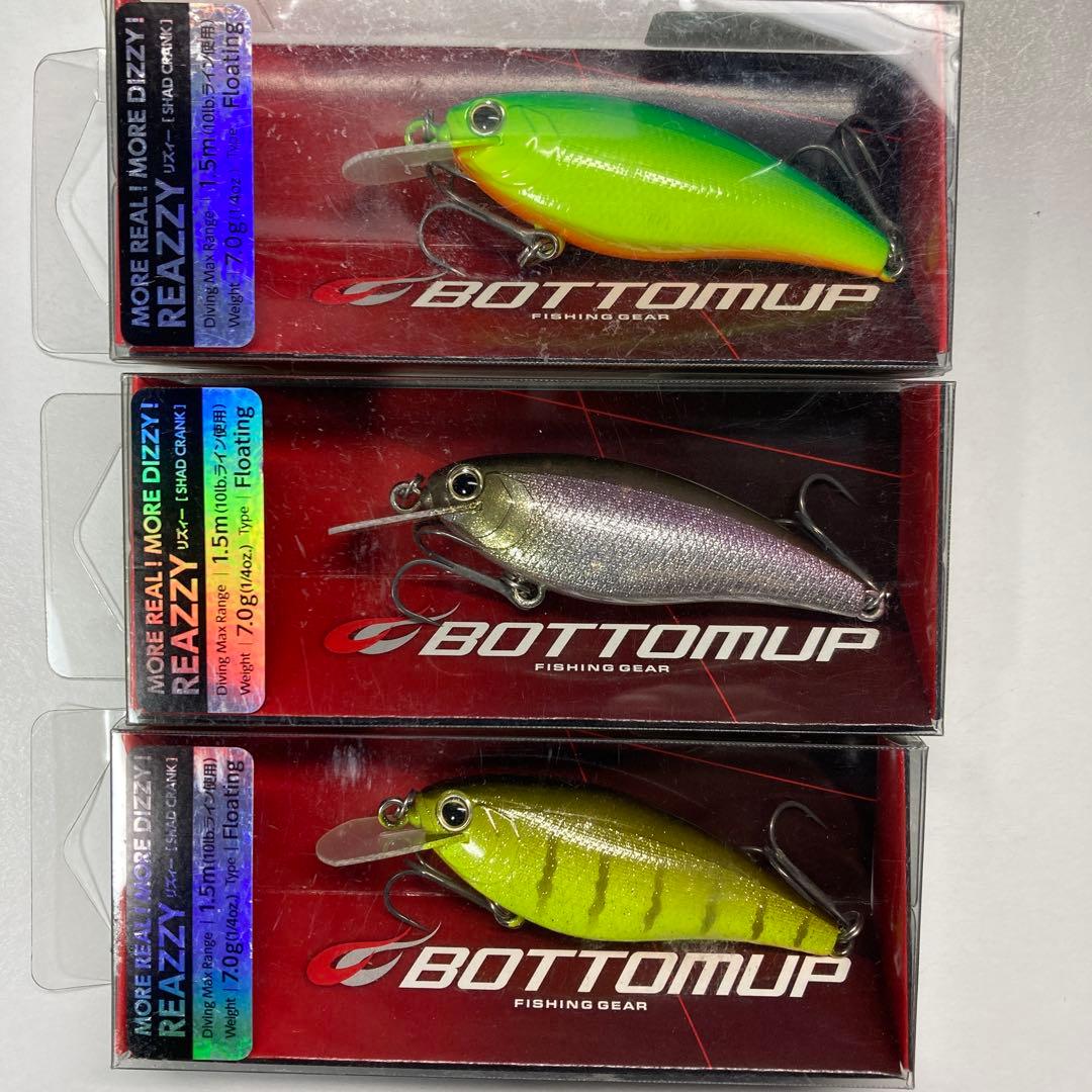 【新品未使用品】ボトムアップリズィー アピールプラス　5セット