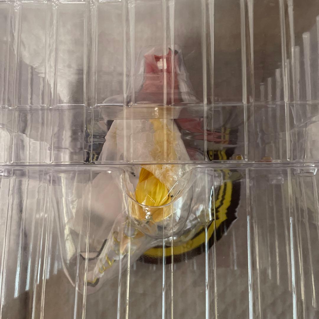 平和/白組　戦国乙女　足利ヨシテル　1/8スケール塗装済み