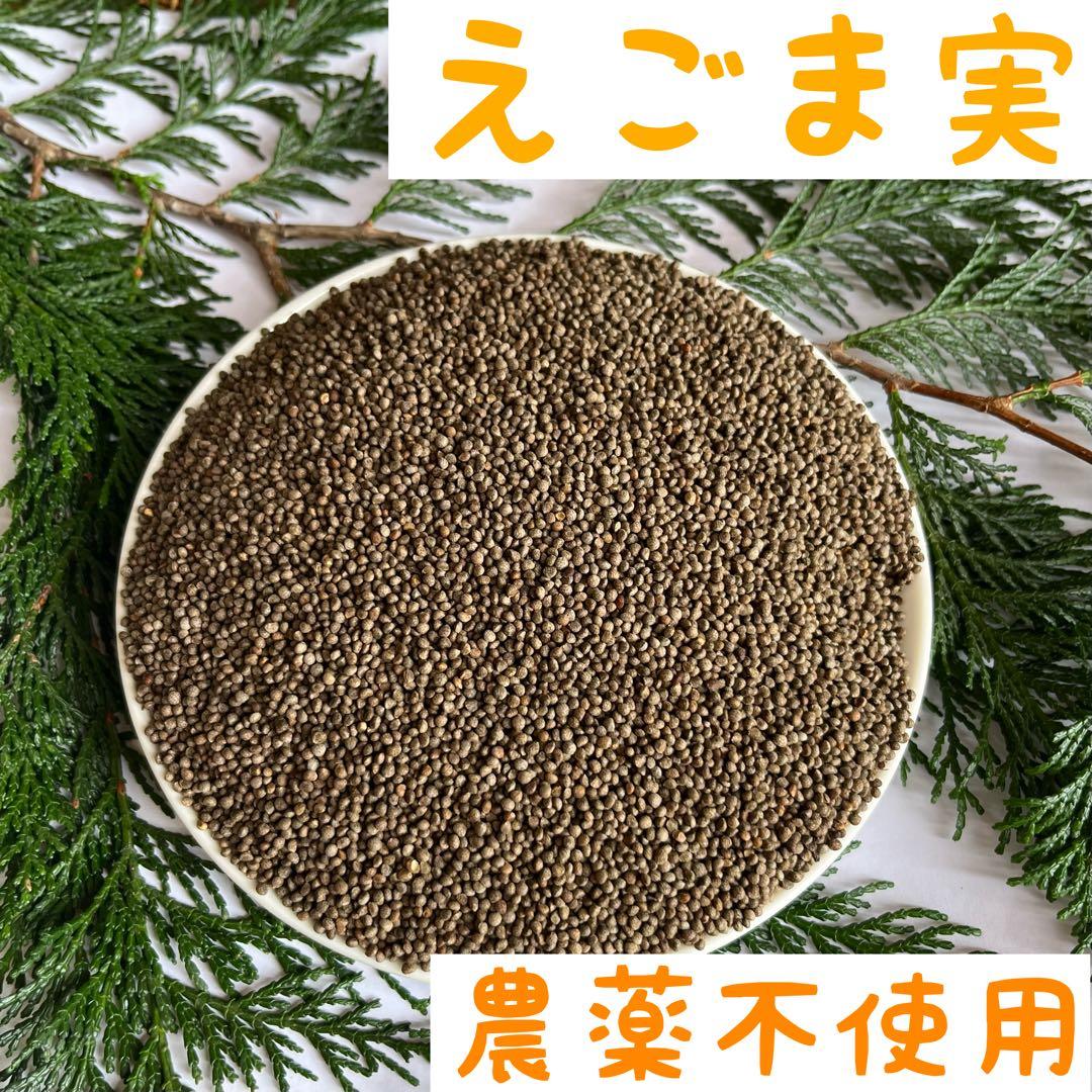 しろねこさま専用　5キロ