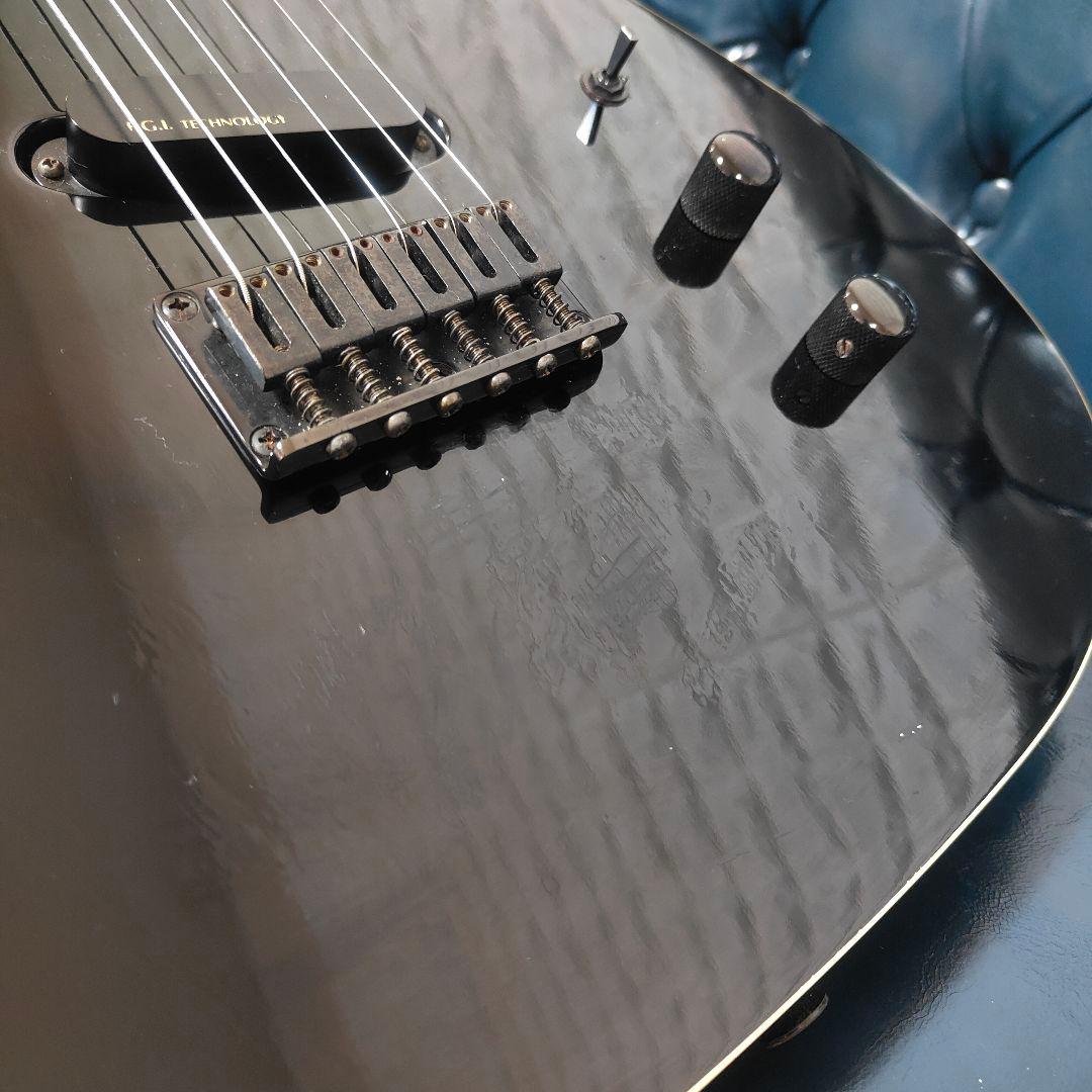 FERNANDES TEJ-STD LIMITED EDITION 布袋