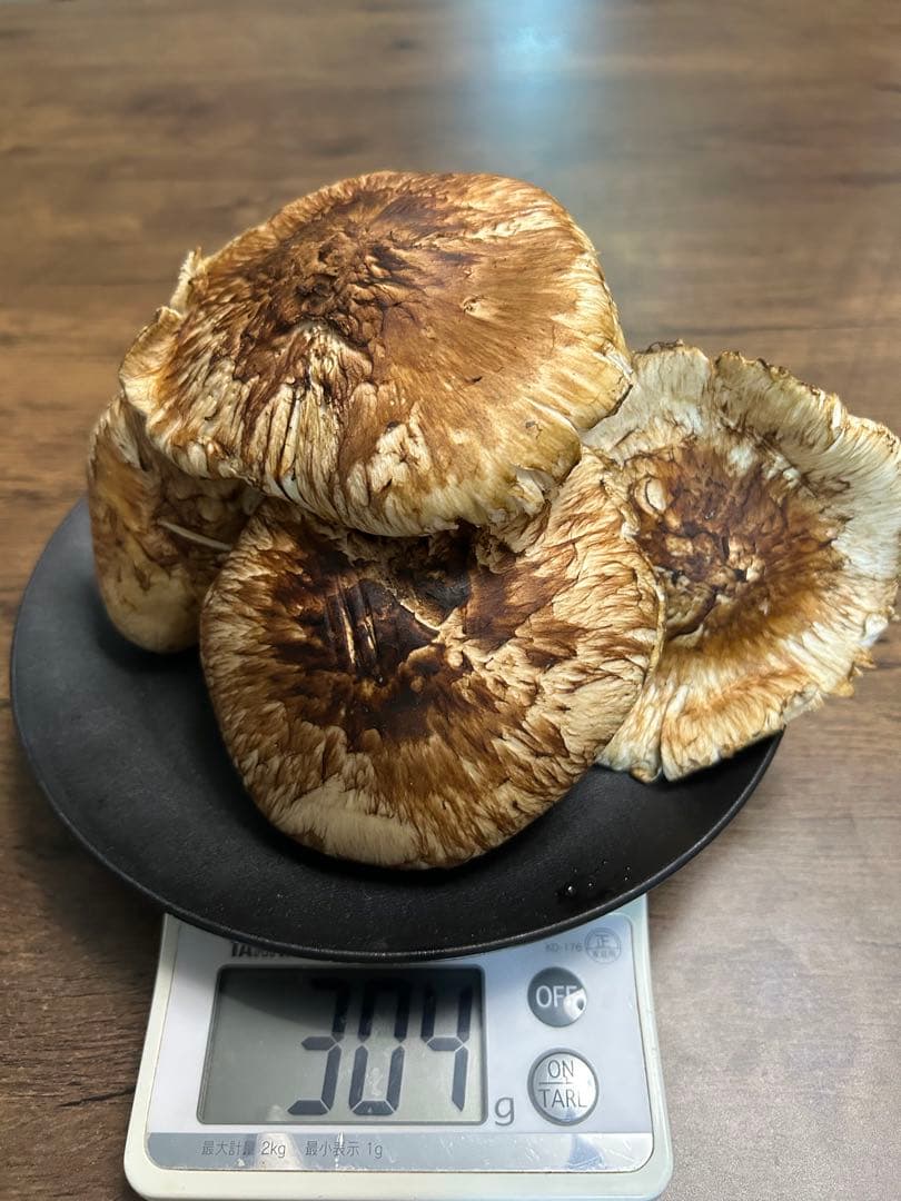 松茸300gサービス付。今季最後の出品です