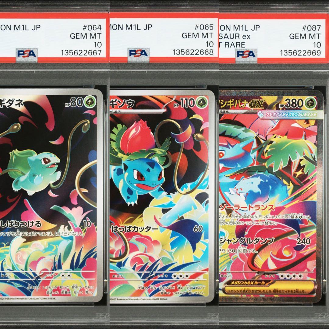 【連番】メガフシギバナex sar psa10 進化ライン