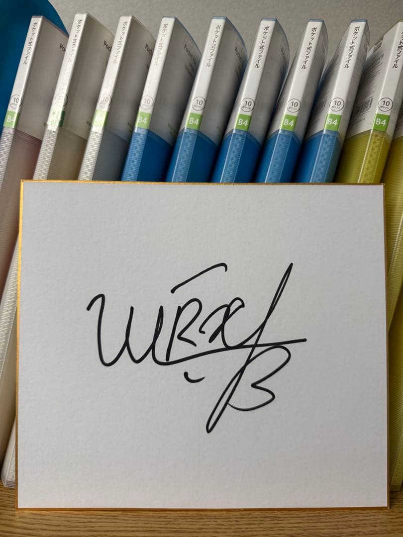 RIZIN シェイドラエフ 直筆サイン色紙 朝倉未来 シェイドゥラエフ