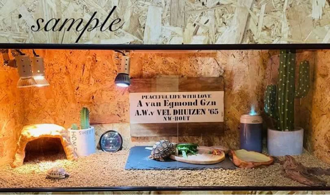 TIG　爬虫類ケージ　木製ケージ　細網目仕様　フトアゴ　フルオプション