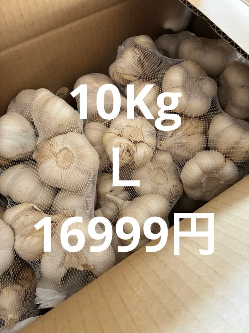 青森県にんにく10Kg Ｌお買得