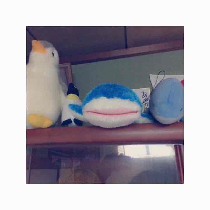 水族館 ぬいぐるみ 単品