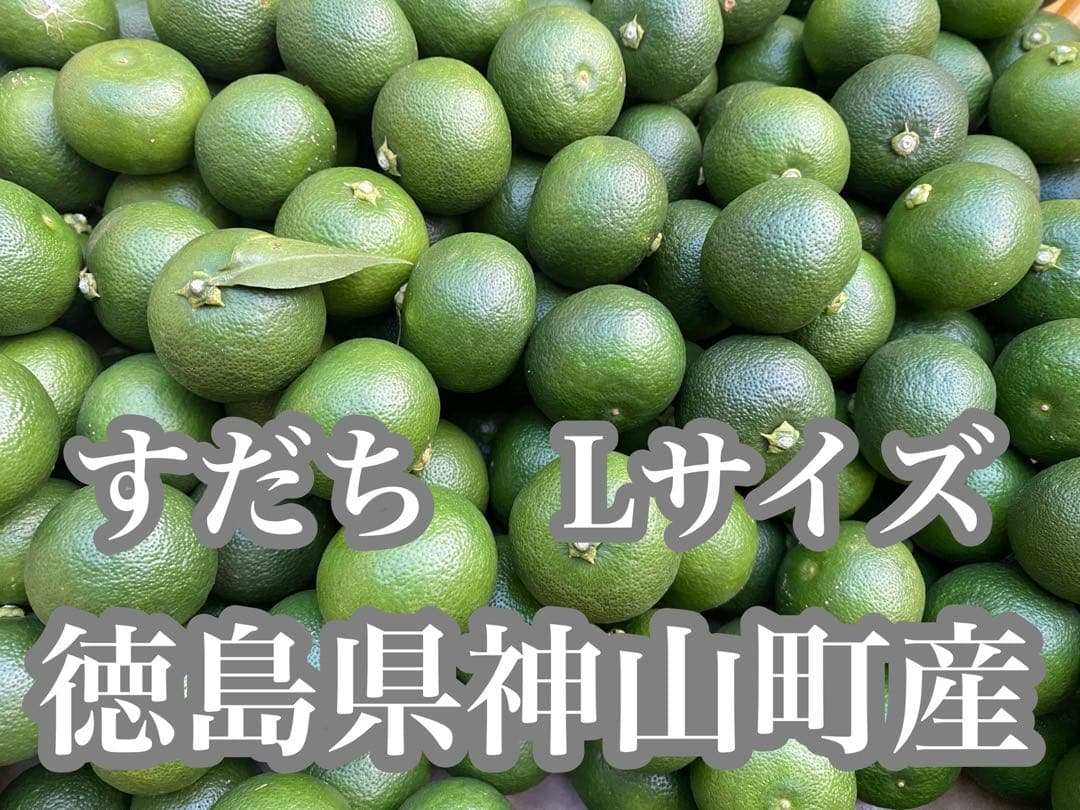 徳島県神山町産　《冷蔵貯蔵すだち》 綺麗なLサイズ　7キロ　　③