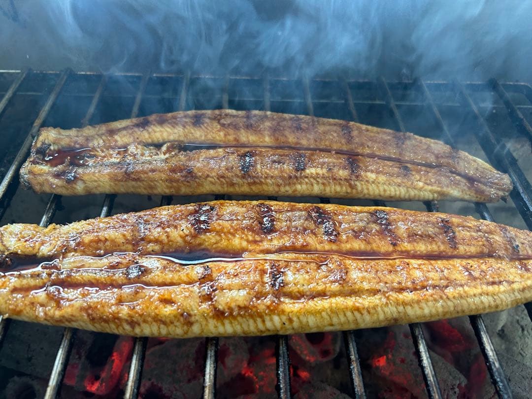 Junko様　特蒲3尾