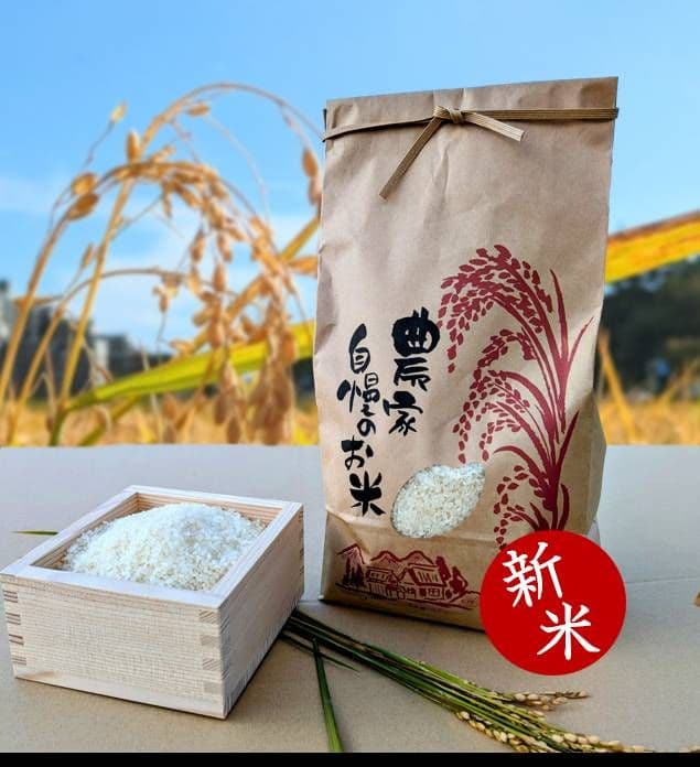 令和７年　北海道産　ゆめぴりか　10キロ　農家直送