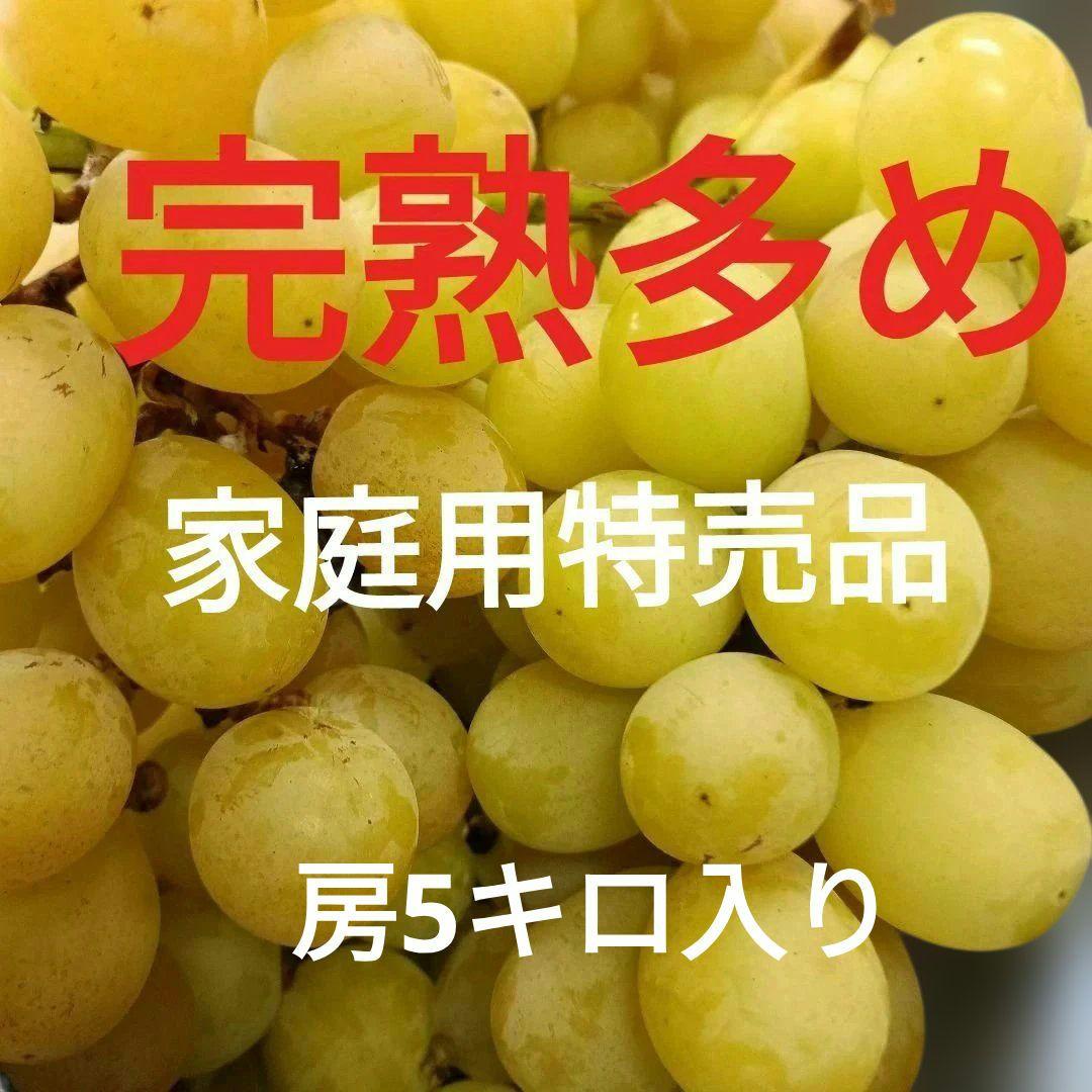 完熟多めシャインマスカット家庭用訳有り品