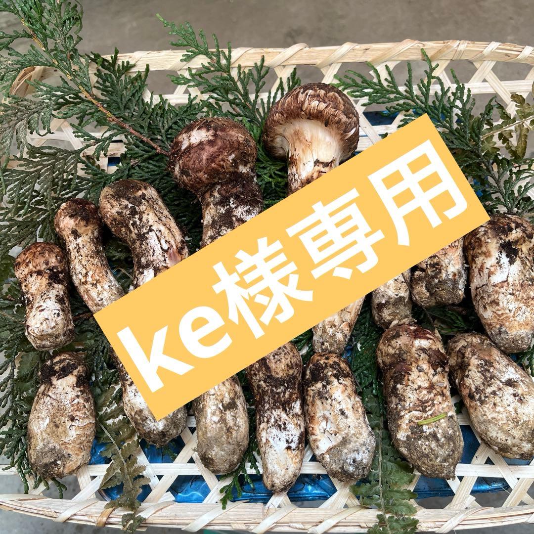 ke おまとめ出品