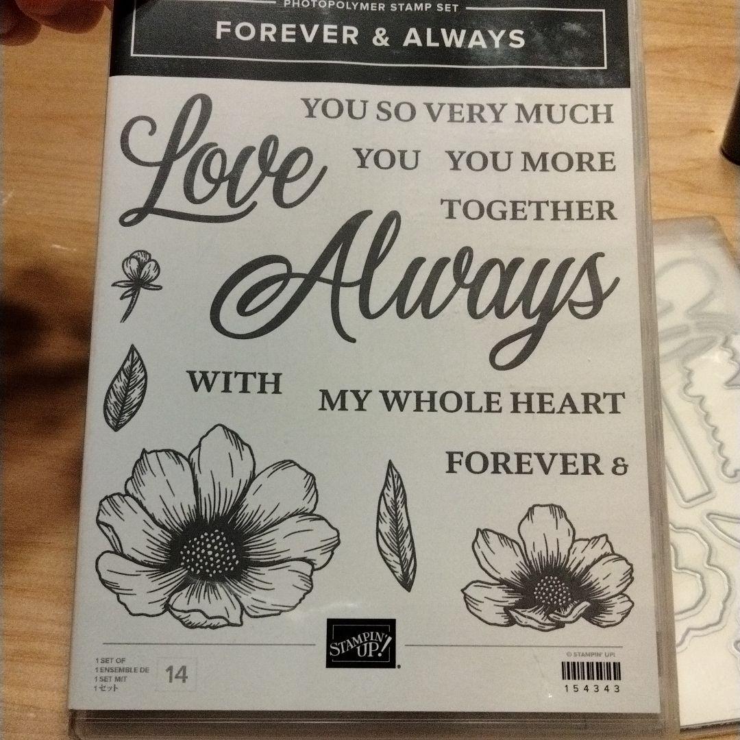 再お値下！未使用　大きなお花スタンプとダイ　スタンピンアップ