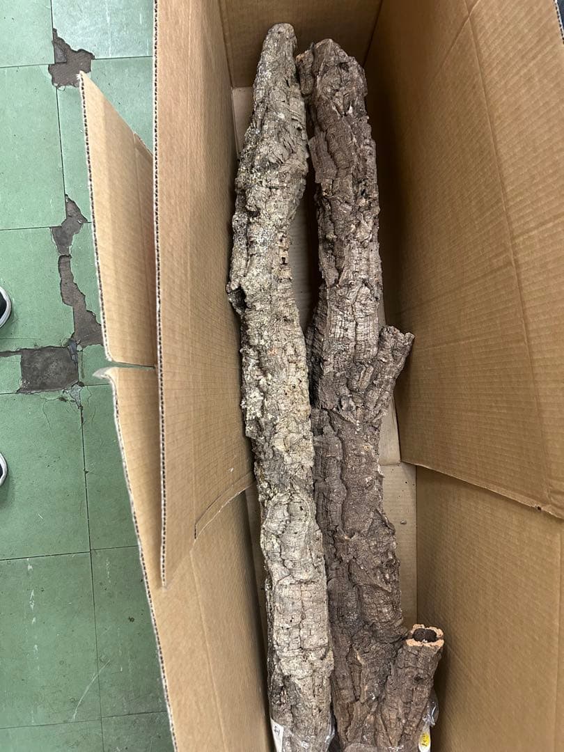 ＰＬ-0106-Ｌ5 1127-Ｌ2 0105-ＬＬ1