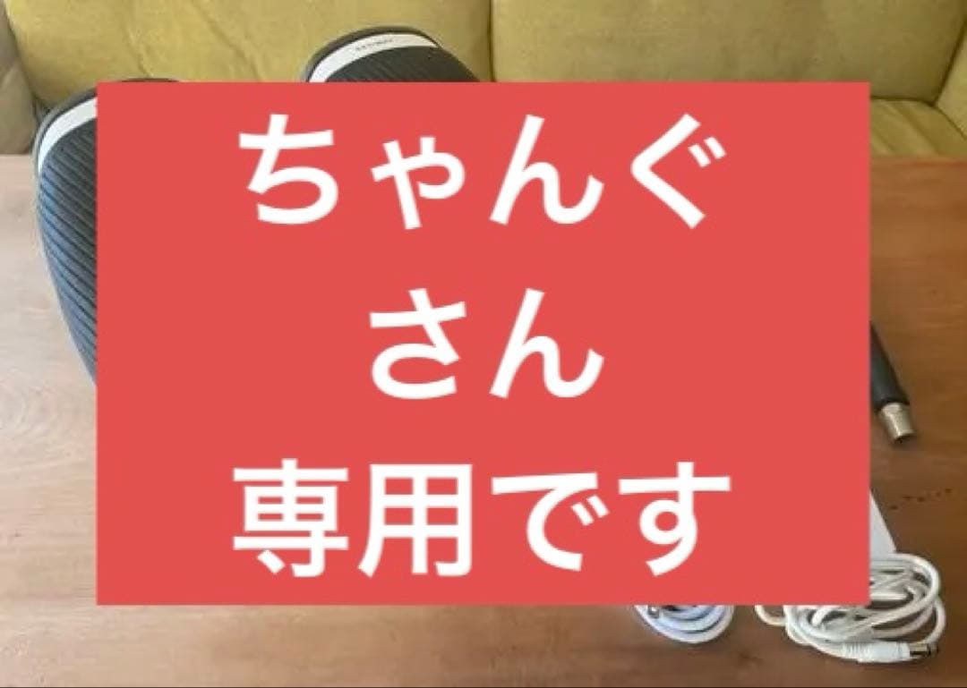 Segway Drift W1 電動スケボー