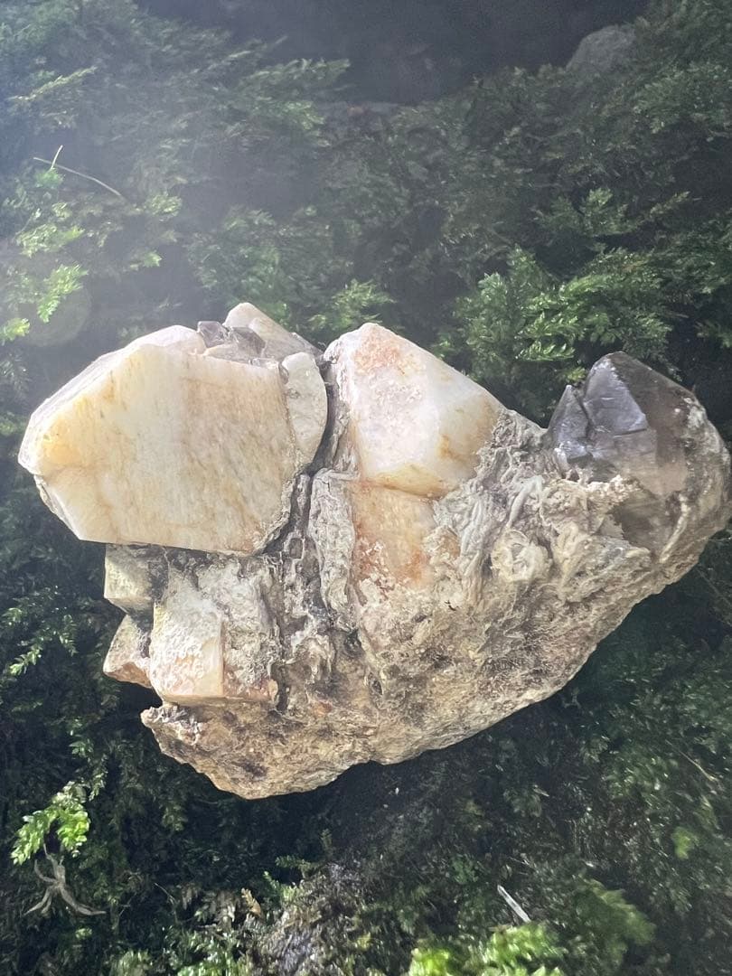 龍脈の精髄 九州産煙水晶＆長石共生標本 「大地と祓いの調和」【保護猫活動支援】
