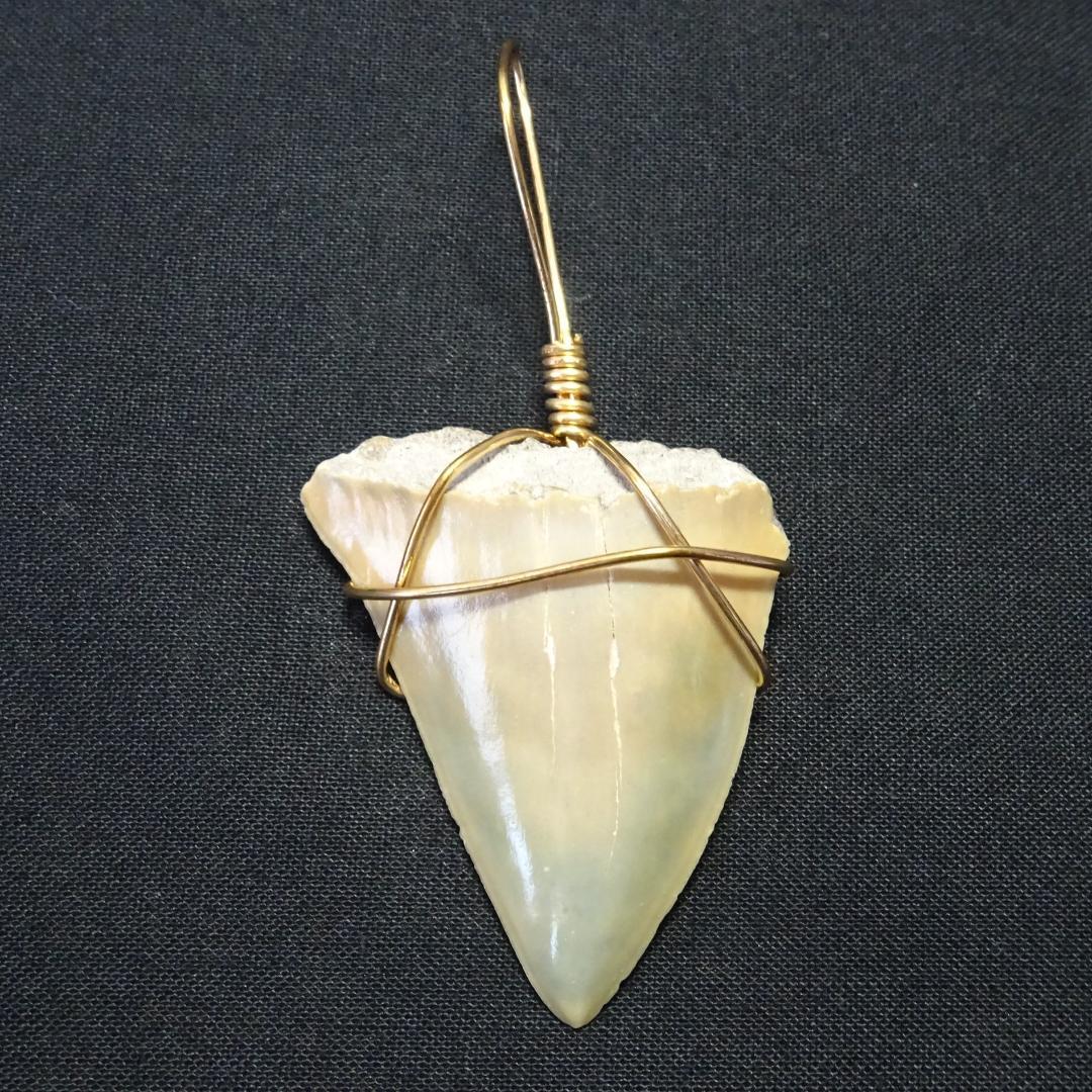 【値下】サメの歯のペンダントトップ