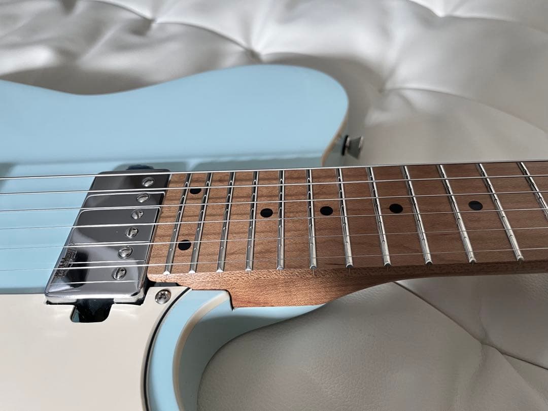 Bachus TAC24 テレキャスタータイプ