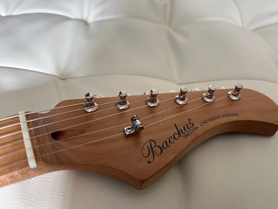 Bachus TAC24 テレキャスタータイプ