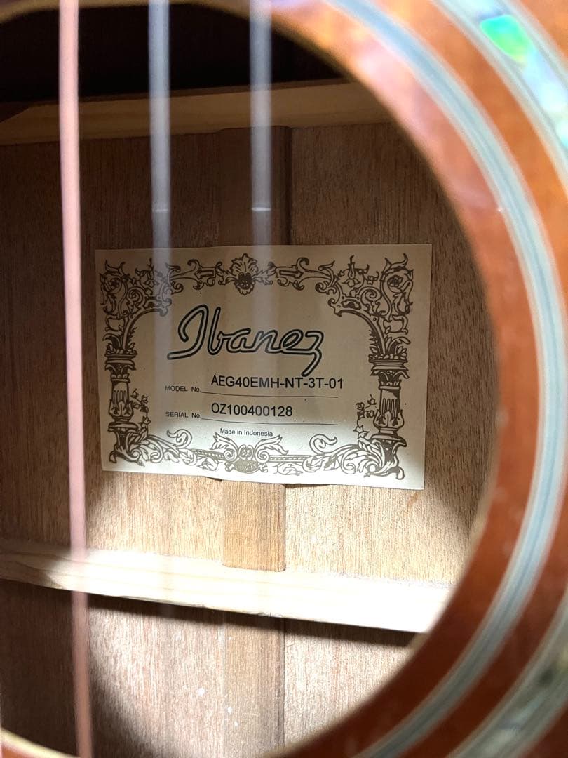 【ジャンク】アイバニーズ AEG40EMHNT-3T-01 上位機種